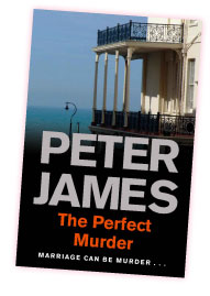 The Perfect Murder