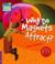 Why Do Magnets Attract? Level 4 Factbook