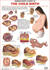 Child Birth - Human Body Chart 24