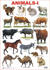 Animals 1