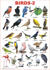 Birds 2 Chart
