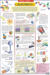 Electricity - Science Chart 5