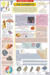 Elements - Science Chart 31
