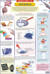 Crystals - Science Chart 45