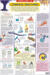 Chemical Reactions - Science Chart 40