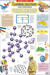 Carbon, Sulphur and Phosphorus - Science Chart 36