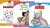 Penguin Kids Levels 1-3 - pack of 10 books